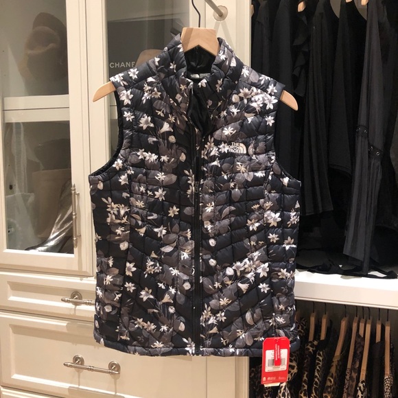 The North Face Other - North face vest!